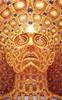 SteveK's Avatar