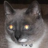 Jeff B's Avatar