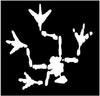 nausearockpig's Avatar