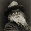 Walt Whitman's Avatar